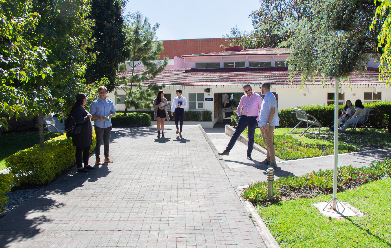 Image Portada del programa MCP