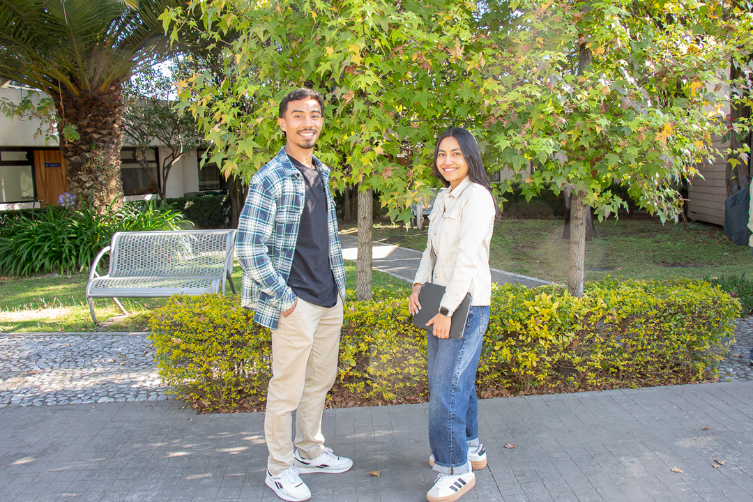 Image Portada del programa MCP